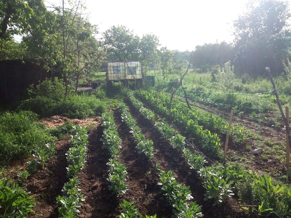 agroécologie haute-loire