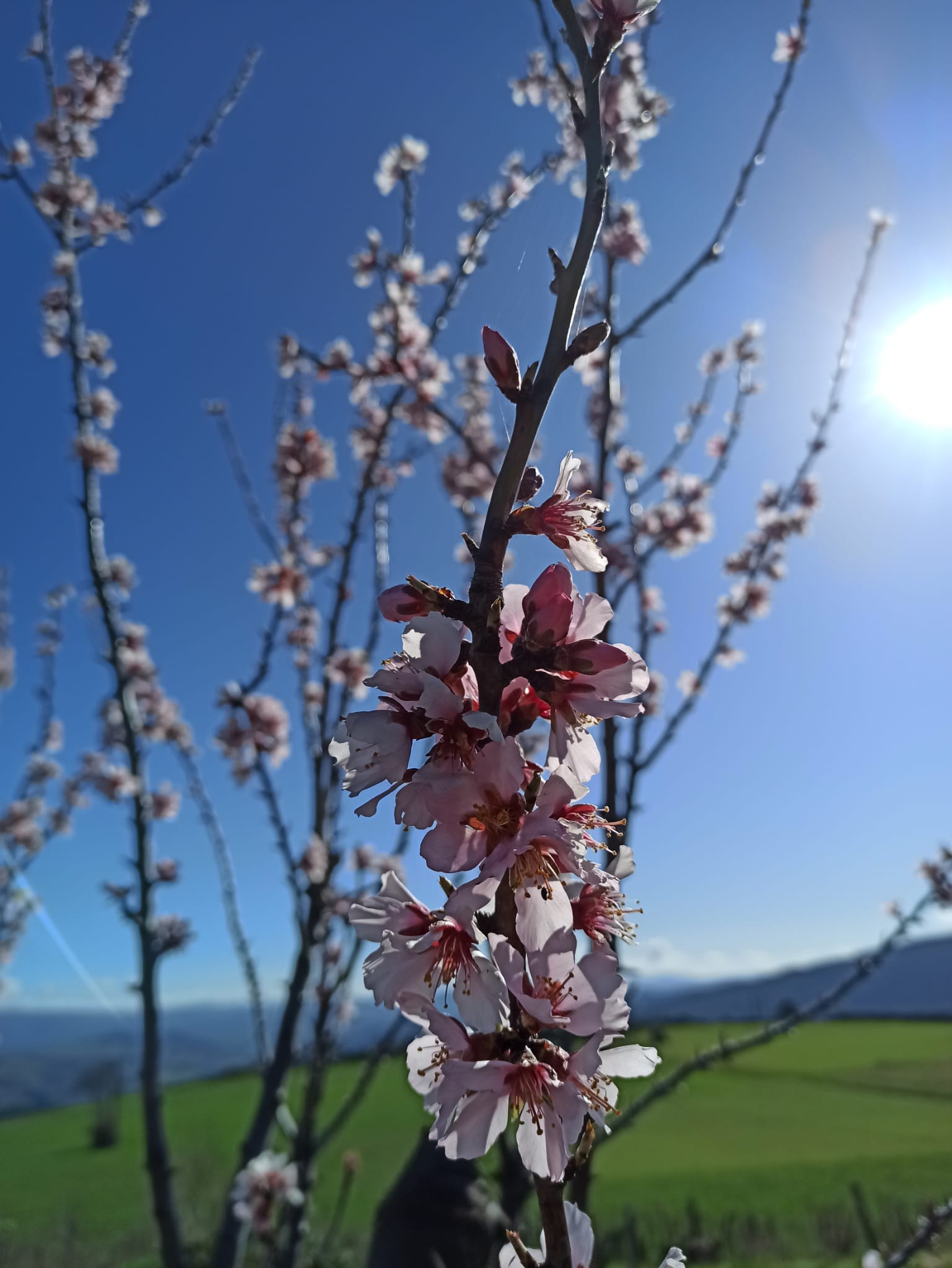 agroécologie haute-loire