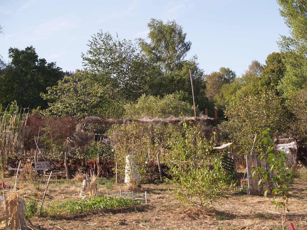 jardin forêt et pourquoi pas agroécologie haute-loire