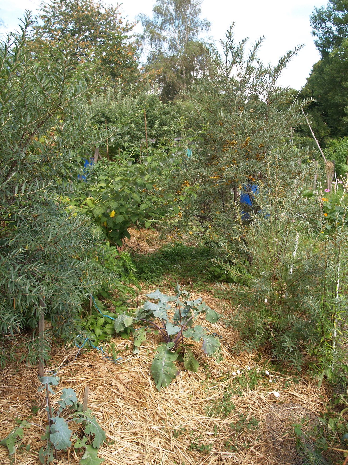 agroécologie haute-loire
