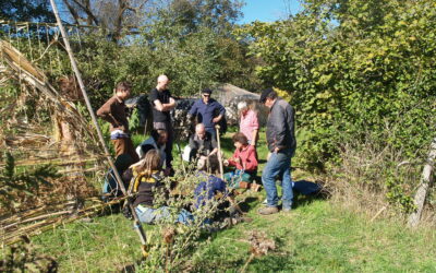 formation 5 jours: s’initier à l’implantation d’un jardin-forêt