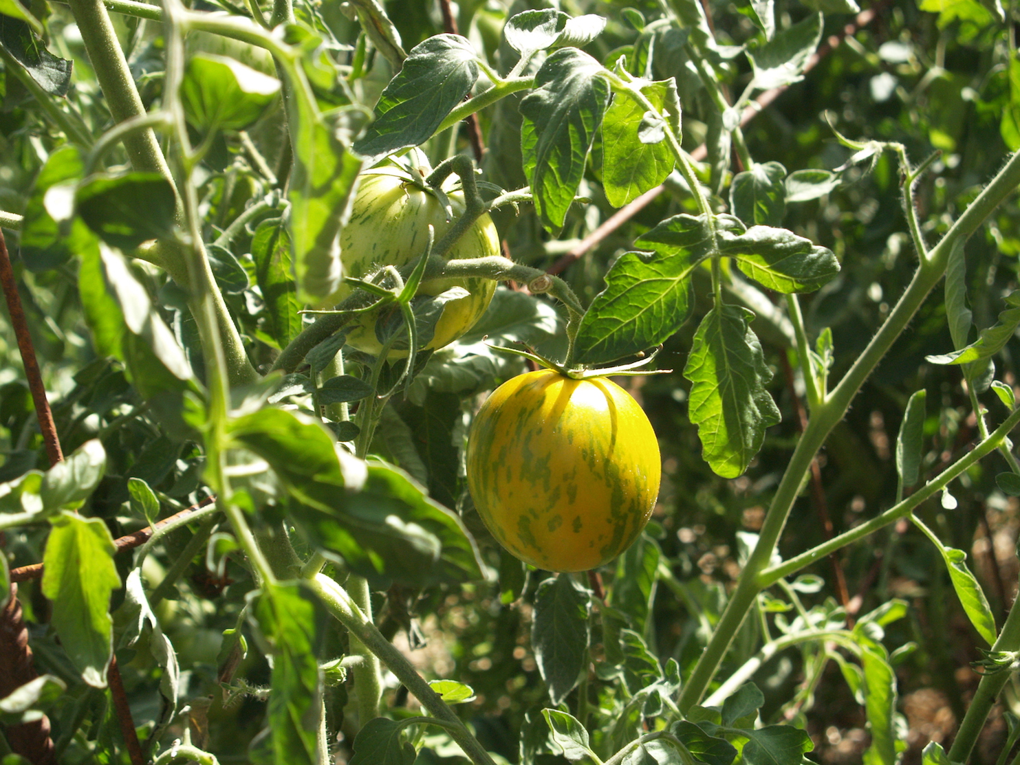 agroécologie haute-loire