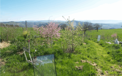 jardin vivrier mensuelle du 19 mai