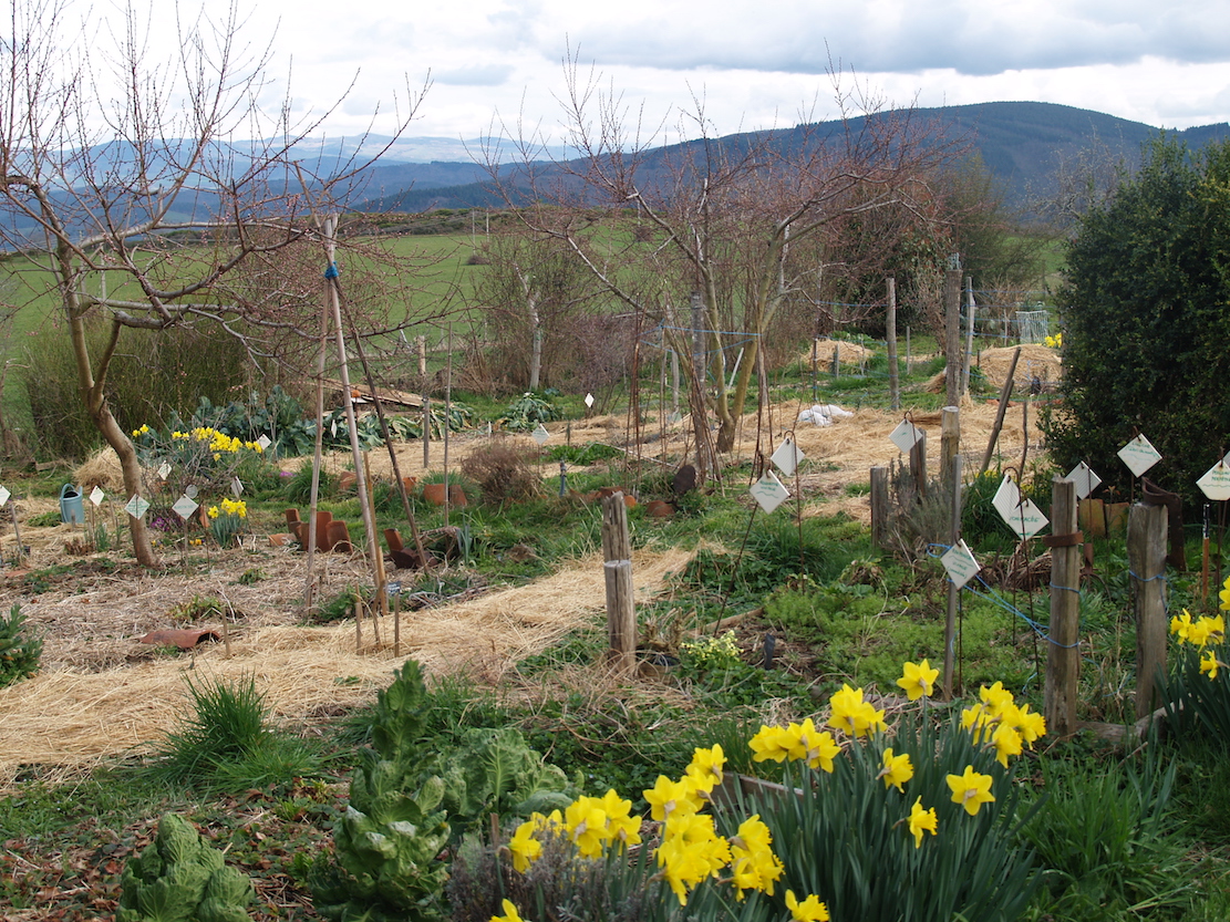 agroécologie haute-loire