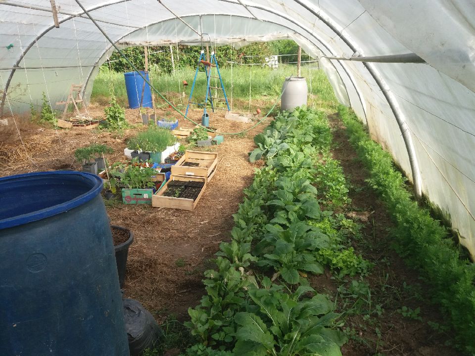 agroécologie haute-loire
